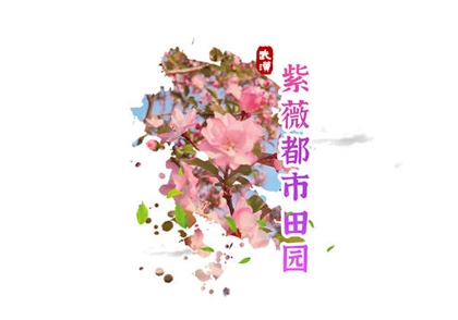 武汉紫薇都市田园VR云游